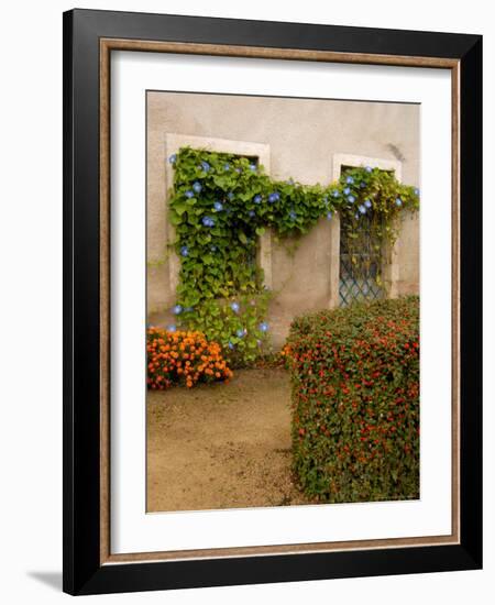 Flowers Along Stucco Building, Burgundy, France-Lisa S. Engelbrecht-Framed Photographic Print
