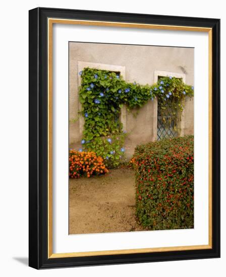 Flowers Along Stucco Building, Burgundy, France-Lisa S. Engelbrecht-Framed Photographic Print