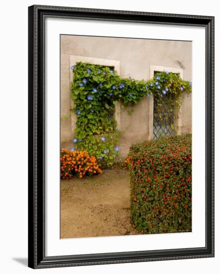 Flowers Along Stucco Building, Burgundy, France-Lisa S. Engelbrecht-Framed Photographic Print