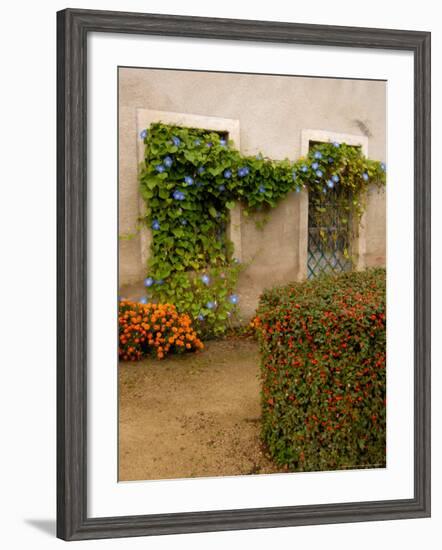 Flowers Along Stucco Building, Burgundy, France-Lisa S. Engelbrecht-Framed Photographic Print