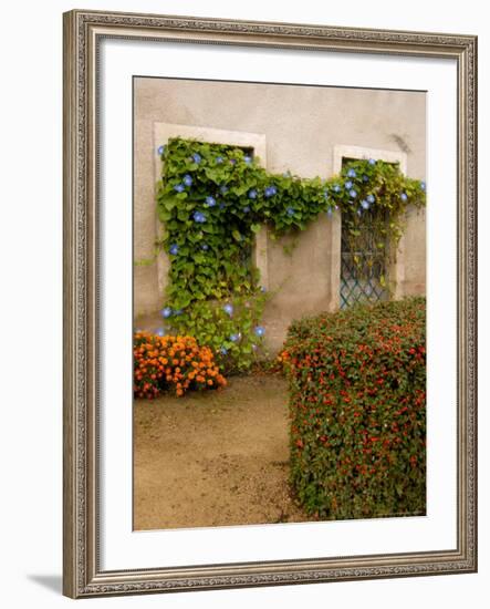 Flowers Along Stucco Building, Burgundy, France-Lisa S. Engelbrecht-Framed Photographic Print