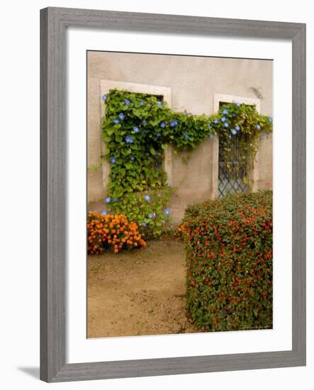 Flowers Along Stucco Building, Burgundy, France-Lisa S. Engelbrecht-Framed Photographic Print