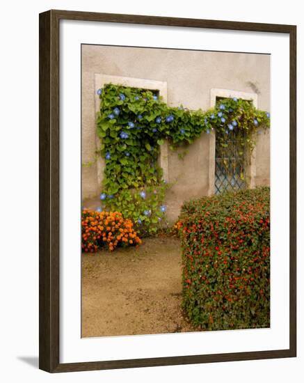 Flowers Along Stucco Building, Burgundy, France-Lisa S. Engelbrecht-Framed Photographic Print