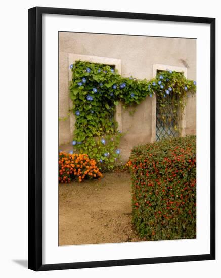 Flowers Along Stucco Building, Burgundy, France-Lisa S. Engelbrecht-Framed Photographic Print