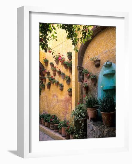 Flowers and Architecture in San Miguel de Allende, Mexico-Bill Bachmann-Framed Photographic Print