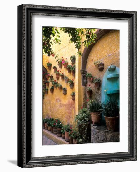 Flowers and Architecture in San Miguel de Allende, Mexico-Bill Bachmann-Framed Photographic Print