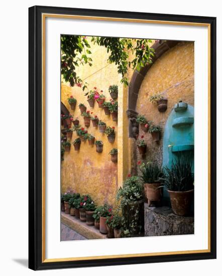 Flowers and Architecture in San Miguel de Allende, Mexico-Bill Bachmann-Framed Photographic Print