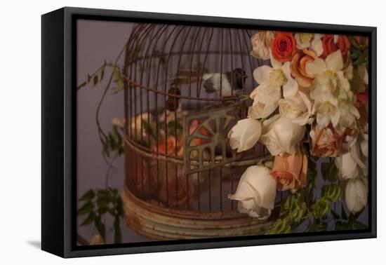 Flowers and Bird Cage II-Rita Crane-Framed Premier Image Canvas