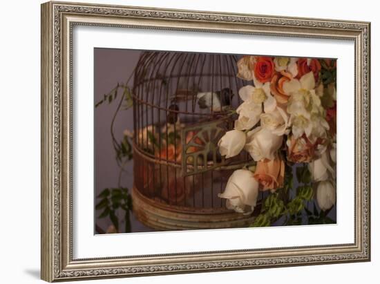 Flowers and Bird Cage II-Rita Crane-Framed Photographic Print