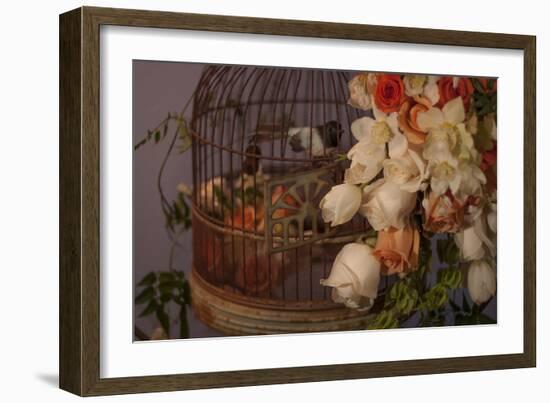 Flowers and Bird Cage II-Rita Crane-Framed Photographic Print