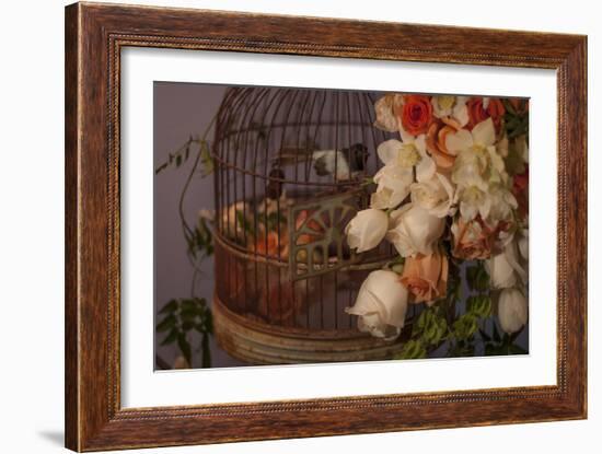 Flowers and Bird Cage II-Rita Crane-Framed Photographic Print