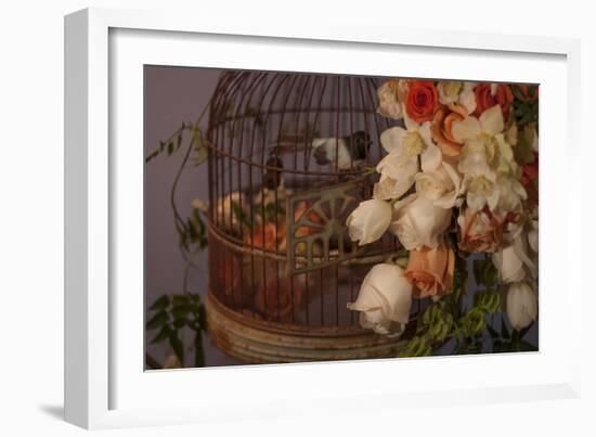 Flowers and Bird Cage II-Rita Crane-Framed Photographic Print