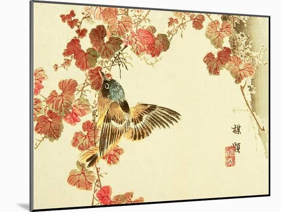 Flowers and Birds Picture Album by Bairei No.10-Bairei Kono-Mounted Giclee Print