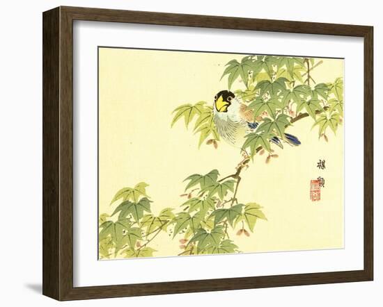 Flowers and Birds Picture Album by Bairei No.4-Bairei Kono-Framed Giclee Print