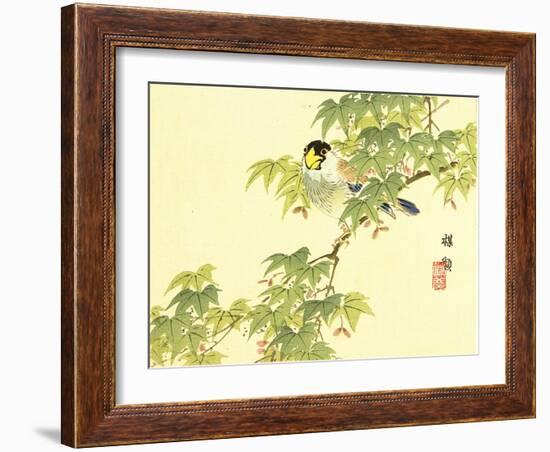 Flowers and Birds Picture Album by Bairei No.4-Bairei Kono-Framed Giclee Print