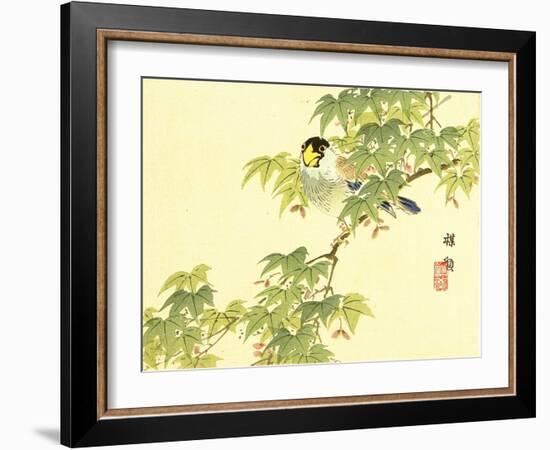 Flowers and Birds Picture Album by Bairei No.4-Bairei Kono-Framed Giclee Print