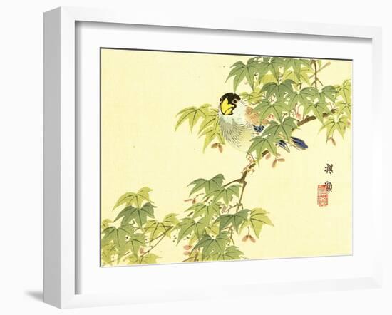 Flowers and Birds Picture Album by Bairei No.4-Bairei Kono-Framed Giclee Print