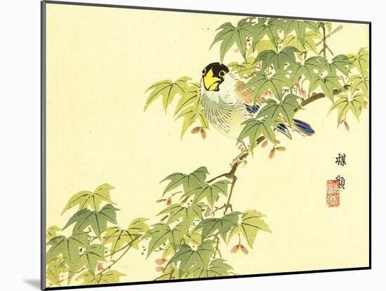 Flowers and Birds Picture Album by Bairei No.4-Bairei Kono-Mounted Giclee Print