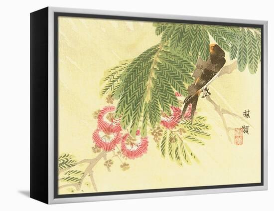 Flowers and Birds Picture Album by Bairei No.6-Bairei Kono-Framed Premier Image Canvas