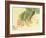 Flowers and Birds Picture Album by Bairei No.6-Bairei Kono-Framed Giclee Print