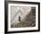 Flowers and Church Ruins, County Waterford, Ireland-William Sutton-Framed Photographic Print