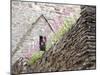 Flowers and Church Ruins, County Waterford, Ireland-William Sutton-Mounted Photographic Print