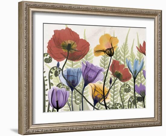 Flowers and Ferns 1-Albert Koetsier-Framed Premium Giclee Print