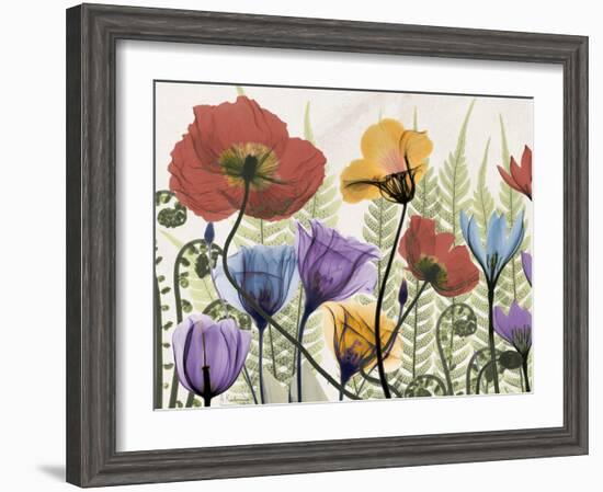 Flowers and Ferns 1-Albert Koetsier-Framed Premium Giclee Print