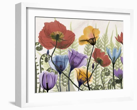 Flowers and Ferns 1-Albert Koetsier-Framed Premium Giclee Print