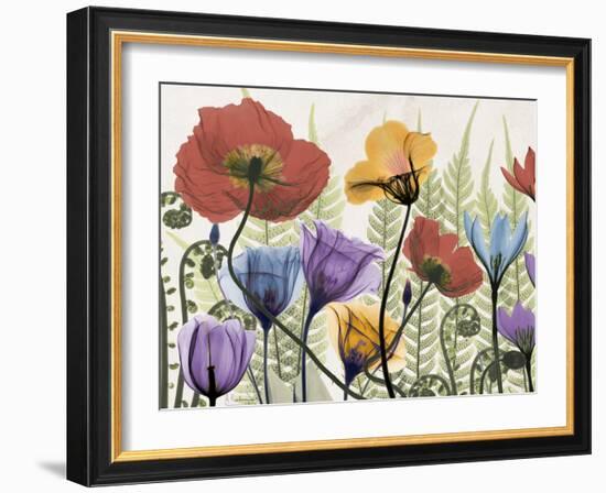 Flowers and Ferns 1-Albert Koetsier-Framed Premium Giclee Print