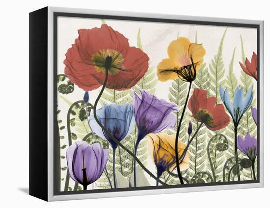 Flowers and Ferns 1-Albert Koetsier-Framed Stretched Canvas