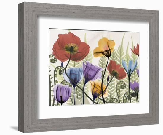 Flowers and Ferns 1-Albert Koetsier-Framed Premium Giclee Print