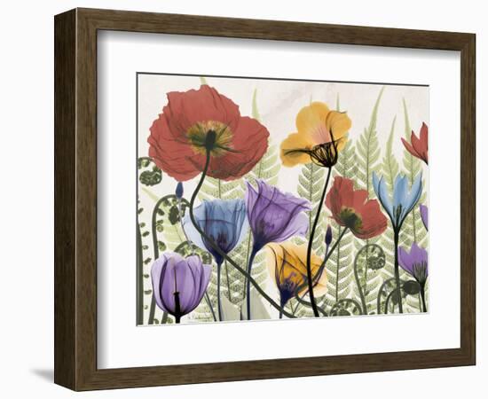 Flowers and Ferns 1-Albert Koetsier-Framed Premium Giclee Print