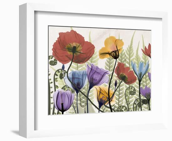 Flowers and Ferns 1-Albert Koetsier-Framed Premium Giclee Print