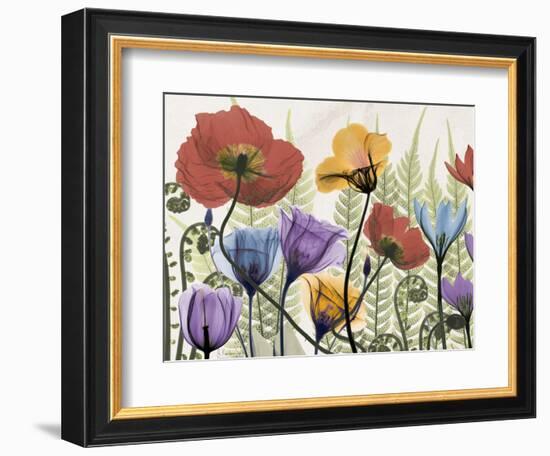 Flowers and Ferns 1-Albert Koetsier-Framed Premium Giclee Print