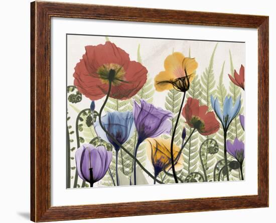 Flowers and Ferns 1-Albert Koetsier-Framed Premium Giclee Print