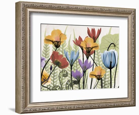 Flowers and Ferns 2-Albert Koetsier-Framed Premium Giclee Print