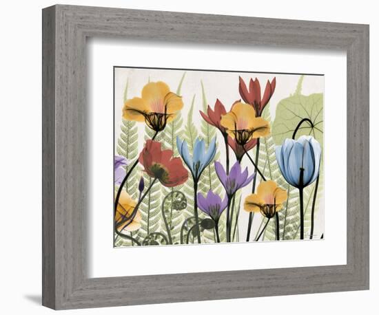 Flowers and Ferns 2-Albert Koetsier-Framed Premium Giclee Print