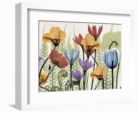 Flowers and Ferns 2-Albert Koetsier-Framed Premium Giclee Print