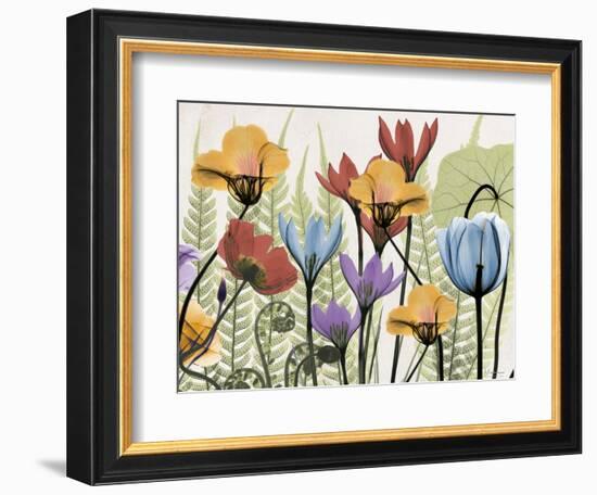 Flowers and Ferns 2-Albert Koetsier-Framed Art Print