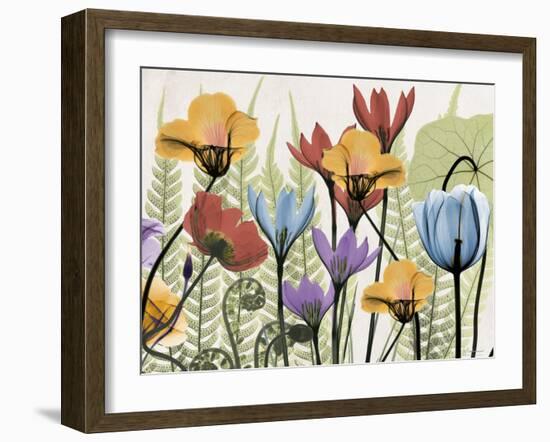 Flowers and Ferns 2-Albert Koetsier-Framed Art Print