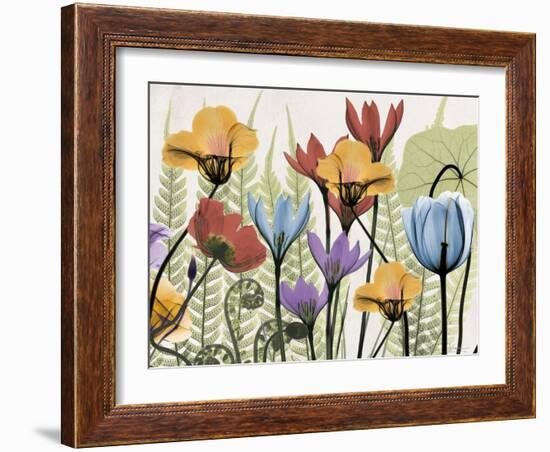 Flowers and Ferns 2-Albert Koetsier-Framed Art Print