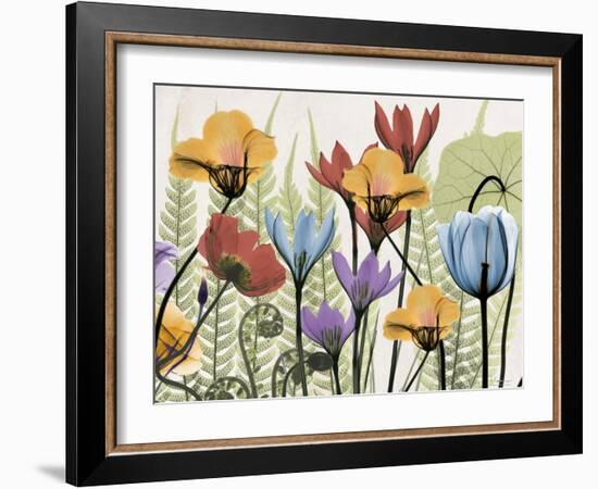 Flowers and Ferns 2-Albert Koetsier-Framed Art Print