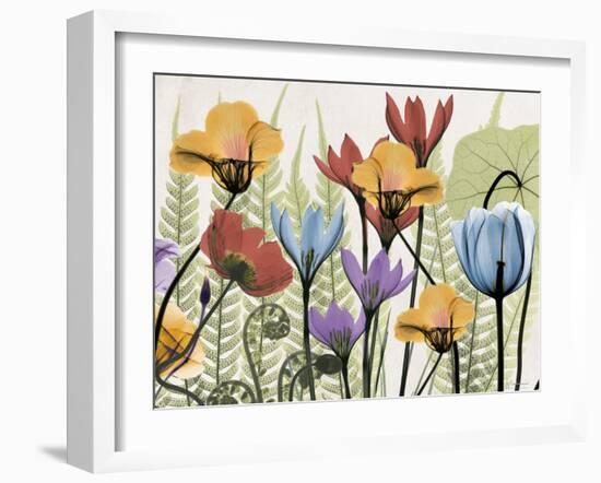 Flowers and Ferns 2-Albert Koetsier-Framed Art Print