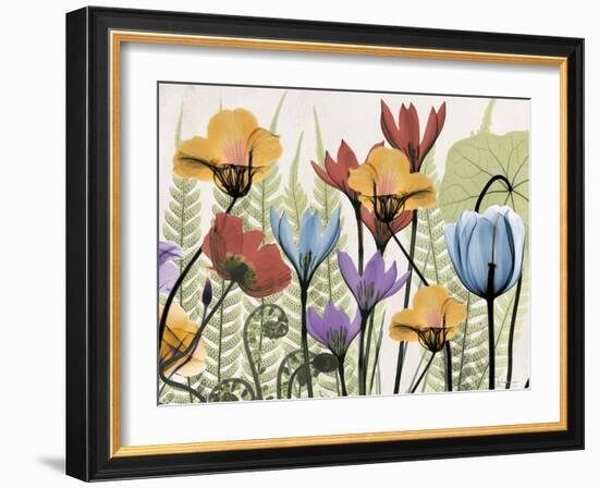 Flowers and Ferns 2-Albert Koetsier-Framed Art Print