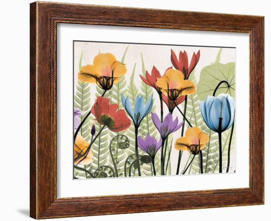 Flowers And Ferns Again-Albert Koetsier-Framed Art Print