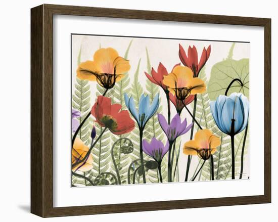 Flowers And Ferns Again-Albert Koetsier-Framed Art Print