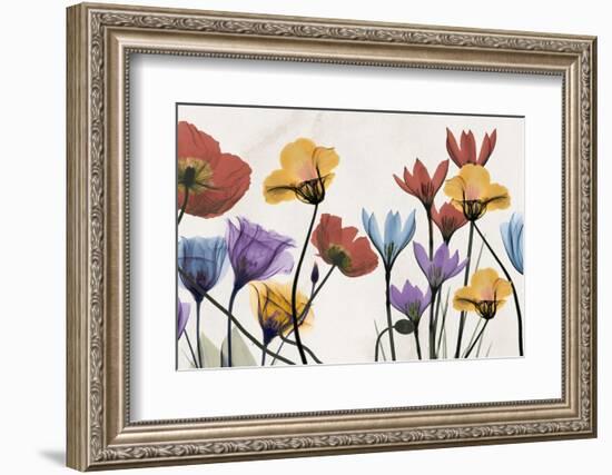 Flowers and Ferns-Albert Koetsier-Framed Photographic Print