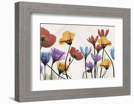 Flowers and Ferns-Albert Koetsier-Framed Photographic Print