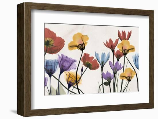 Flowers and Ferns-Albert Koetsier-Framed Photographic Print